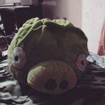 Samuel Calvillo - @samuel.calvillo.378 - Instagram