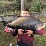 Samuel Camargo - @samuel_camargo56 - Instagram