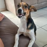 Samuel Camargo - @dbsamuel - Instagram
