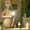 Samuel Camargo - @samuel.camargo18 - TikTok