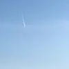 Samuel Campo - @samuelcampo4 - TikTok