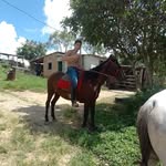 @samuel.caputo9 - Instagram