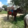 Samuel Caputo - @samuel.caputo - TikTok