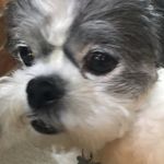 Samuel Carey - @yourbestiesamuel - Instagram