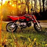 samuel carey - @samthewgyatt - Instagram