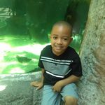 Samuel Carey - @samcarey45 - Instagram