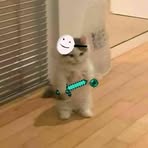 Samuel Cari - Facebook