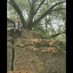 Samuel Carreon - @samcarre - Instagram