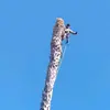 samuel - @samuel.carrillo94 - TikTok