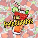 Samuel Casillas - @laspelechadas_lapaz - Instagram