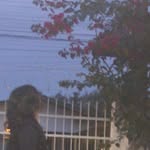 Samuel Castagna - @dionaraguedescastagna - Instagram