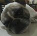 Samuel Cecil - Facebook