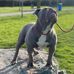 Sam Chamberlain - Facebook