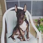 Samuel Chamberlain - @schwifty_sami - Instagram