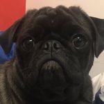 Samuel Chance - @samuel_chance007 - Instagram