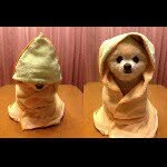 Samuel Chea - @samuelchea - Instagram