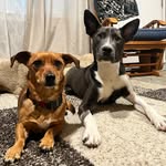 Samuel Adam & Winston Chester - @sam_and_win - Instagram