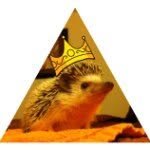Samuel Chester - @sammythehog - Instagram