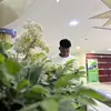 samuelcoana7 - @samuelcoana7 - TikTok