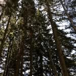 Samuel Coffelt - @coffelt_boy - Instagram