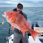Sam Colvin - @samuel.colvin - Instagram