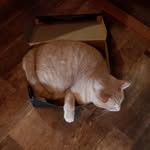 Samuel Cooke - @samuel.cooke.908 - Instagram
