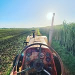 Samuel Copley - @copleysamuel - Instagram