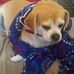 Sammy Corcoran - Facebook