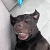Samuel Coronel - @samuel.coronel7 - TikTok
