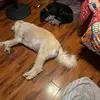 Samuel Cosby - @samuel.cosby1 - TikTok