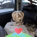 Samuel Cottrell - Facebook
