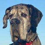 Sam Sikes - @samuelcrabtreesikes - Instagram