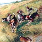 Sam Cranston - Facebook