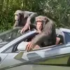 samuelcrook88 - @samuelcrook88 - TikTok