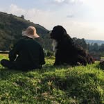 samuel cuervo - @simbel_bak_ - Instagram