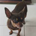 Samuel Cuervo Peña - @s__cuervo - Instagram