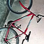 Samuel Gois - @samuel_da_montadinha_244 - Instagram