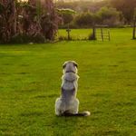 Samuel Danielson - @protologism - Instagram