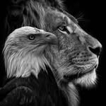 Samuel Danquah - @danquah3905 - Instagram