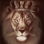 Samuel D'Antonio - @dantoniosamuel - Instagram