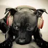 Samuel Dardenne - @samueldardenne - TikTok