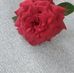 Samuel Dasari - Facebook