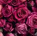 Samuel Dasari - Facebook