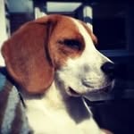 Samuel Deakin - @deakin.samuel - Instagram