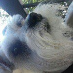 Samuel Deese - @reflex12399 - Instagram
