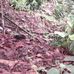 Samuel Delcid - Facebook