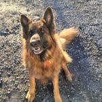 Samuel Dempsey - @s_dempsey22 - Instagram