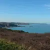 Samuel Desaize - @samueldesaize - TikTok