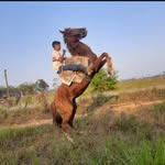 Samuel Desidério - @samulzin244 - Instagram