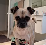 Samuel Deegan - Facebook
